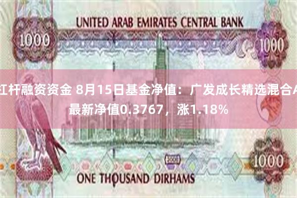 杠杆融资资金 8月15日基金净值：广发成长精选混合A最新净值0.3767，涨1.18%