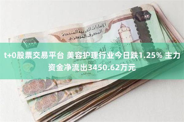 t+0股票交易平台 美容护理行业今日跌1.25% 主力资金净流出3450.62万元