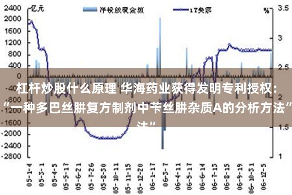 杠杆炒股什么原理 华海药业获得发明专利授权：“一种多巴丝肼复方制剂中苄丝肼杂质A的分析方法”