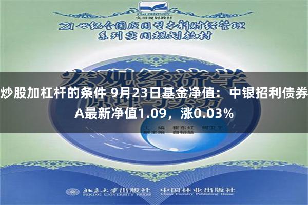 炒股加杠杆的条件 9月23日基金净值：中银招利债券A最新净值1.09，涨0.03%