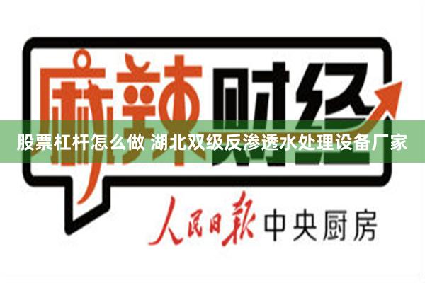 股票杠杆怎么做 湖北双级反渗透水处理设备厂家