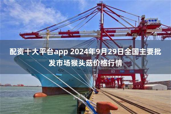 配资十大平台app 2024年9月29日全国主要批发市场猴头菇价格行情