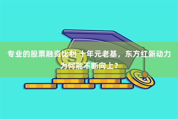 专业的股票融资比利 十年元老基，东方红新动力为何能不断向上？