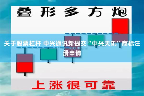 关于股票杠杆 中兴通讯新提交“中兴天玑”商标注册申请