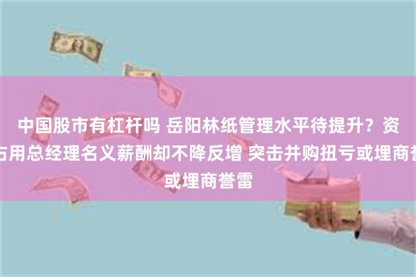 中国股市有杠杆吗 岳阳林纸管理水平待提升？资金占用总经理名义薪酬却不降反增 突击并购扭亏或埋商誉雷