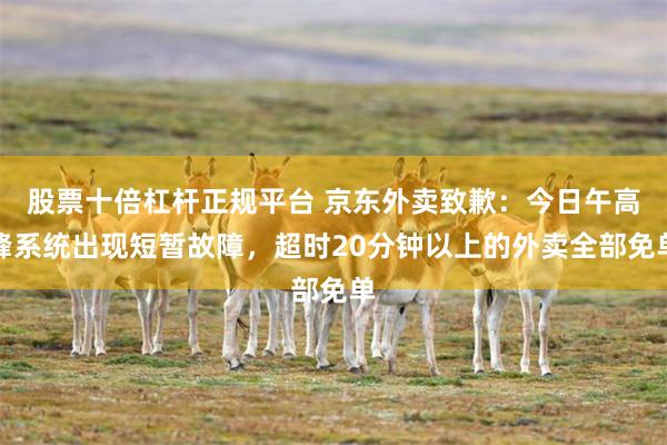 股票十倍杠杆正规平台 京东外卖致歉：今日午高峰系统出现短暂故障，超时20分钟以上的外卖全部免单