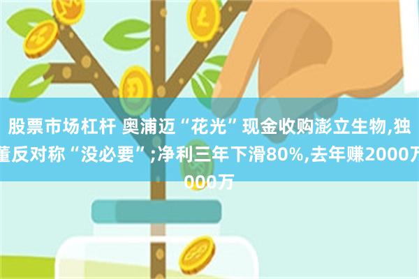 股票市场杠杆 奥浦迈“花光”现金收购澎立生物,独董反对称“没必要”;净利三年下滑80%,去年赚2000万