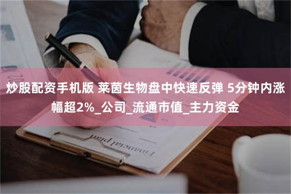 炒股配资手机版 莱茵生物盘中快速反弹 5分钟内涨幅超2%_公司_流通市值_主力资金