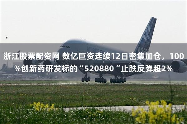 浙江股票配资网 数亿巨资连续12日密集加仓，100%创新药研发标的“520880“止跌反弹超2%