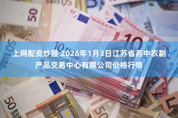 上网配资炒股 2026年1月3日江苏省苏中农副产品交易中心有限公司价格行情