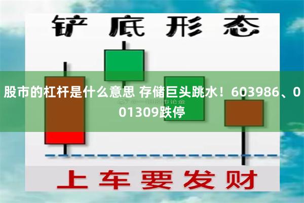 股市的杠杆是什么意思 存储巨头跳水！603986、001309跌停