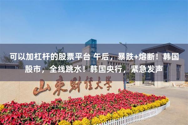 可以加杠杆的股票平台 午后，暴跌+熔断！韩国股市，全线跳水！韩国央行，紧急发声