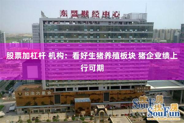 股票加杠杆 机构：看好生猪养殖板块 猪企业绩上行可期
